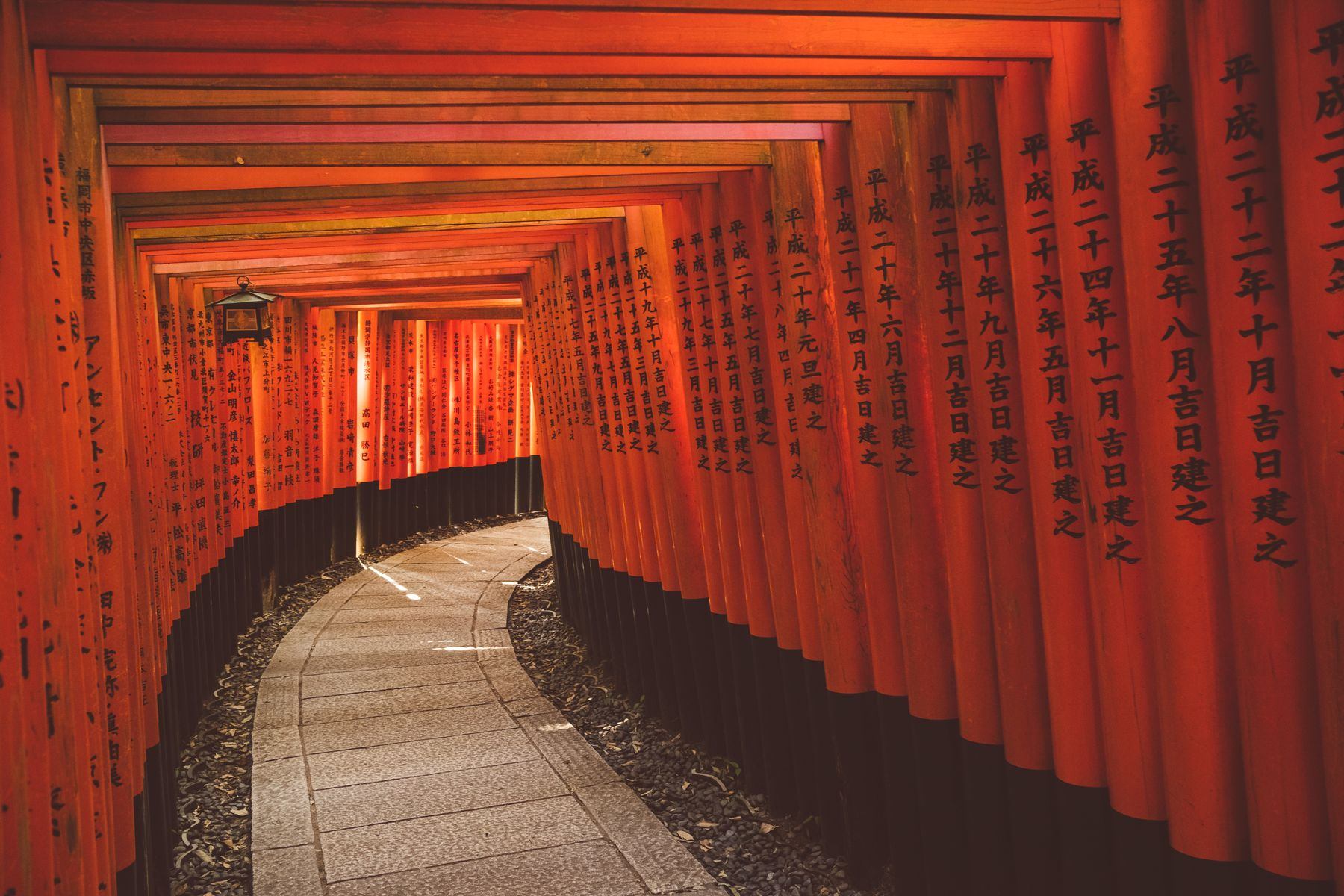 Allée de portiques torii rouges dans un sanctuaire japonais